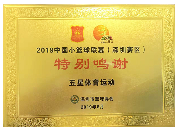 2019中國(guó)小籃球聯(lián)賽