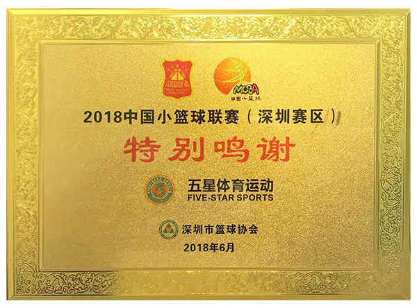 2018中國(guó)小籃球聯(lián)賽